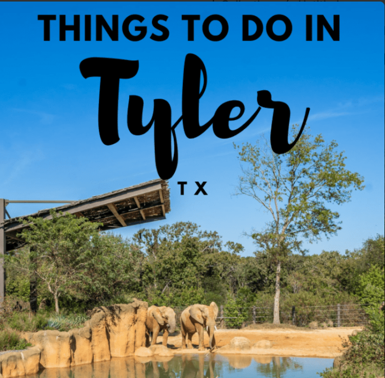 Things To Do In Tyler Texas Maiandros Investments