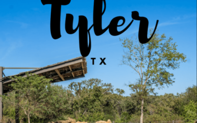 Things to do in Tyler, Texas