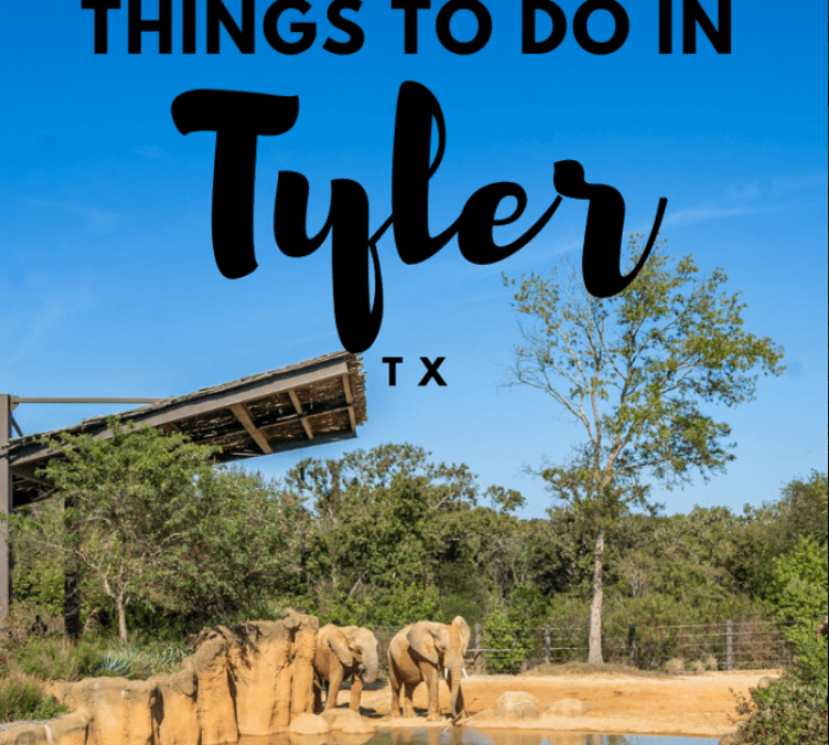 Things to do in Tyler, Texas